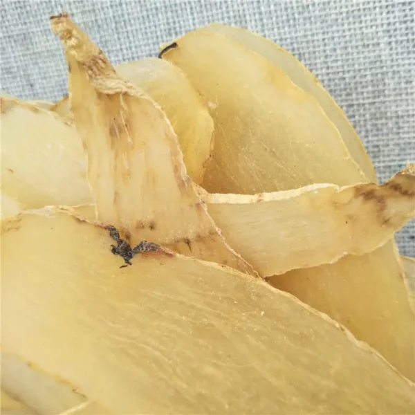 Tian ma - Gastrodia elata - 이미지 6