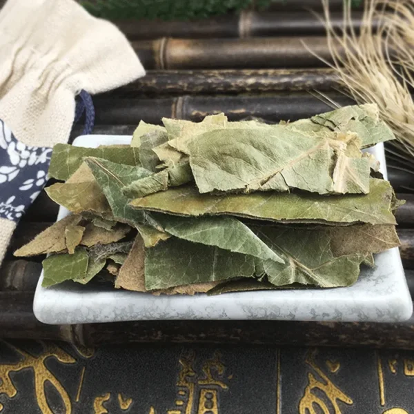 Loquat Tree Leaf - Pi Pa Ye - Hình ảnh 3