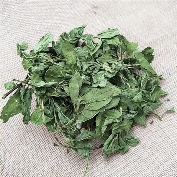 Mint - bo he - Hình ảnh 9