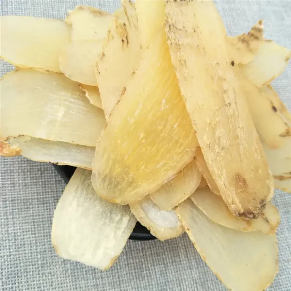 Tian ma - Gastrodia elata - Hình ảnh 7