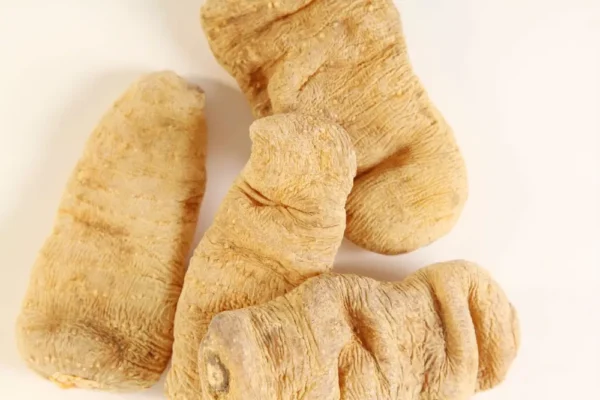 Tian ma - Gastrodia elata - 이미지 18