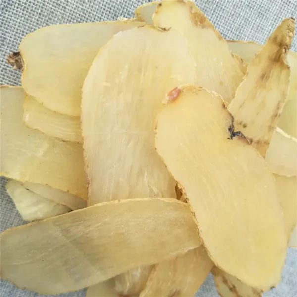 Tian ma - Gastrodia elata - Hình ảnh 10