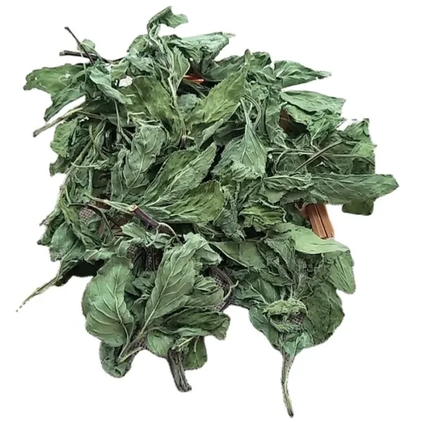 Mint - bo he - Hình ảnh 10