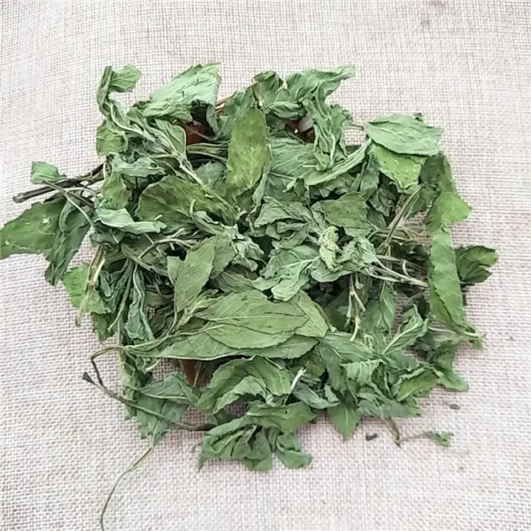 Mint - bo he - Hình ảnh 12