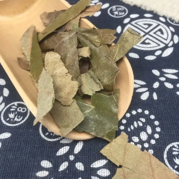 Loquat Tree Leaf - Pi Pa Ye - Hình ảnh 11