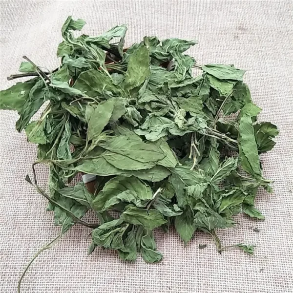 Mint - bo he - Hình ảnh 15