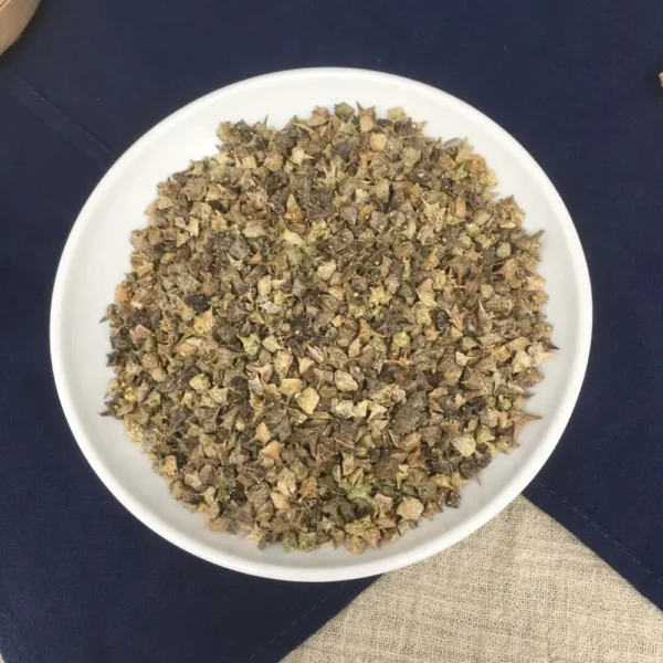 Tribulus terrestris - Ji Li - Hình ảnh 12