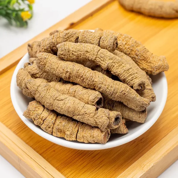 Morinda officinalis - Ba Ji Tian | Morinda Root & TCM Herb