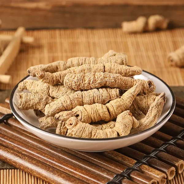 Morinda officinalis - Ba Ji Tian - immagine 13