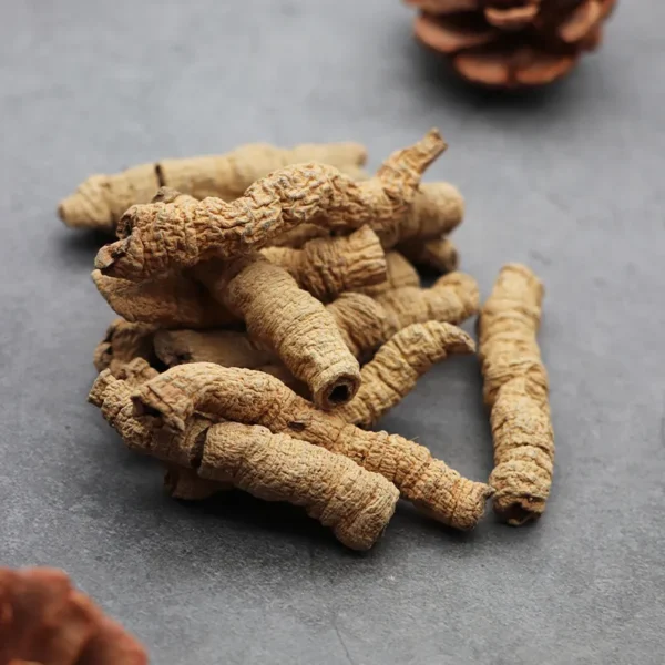 Morinda officinalis - Ba Ji Tian - immagine 15